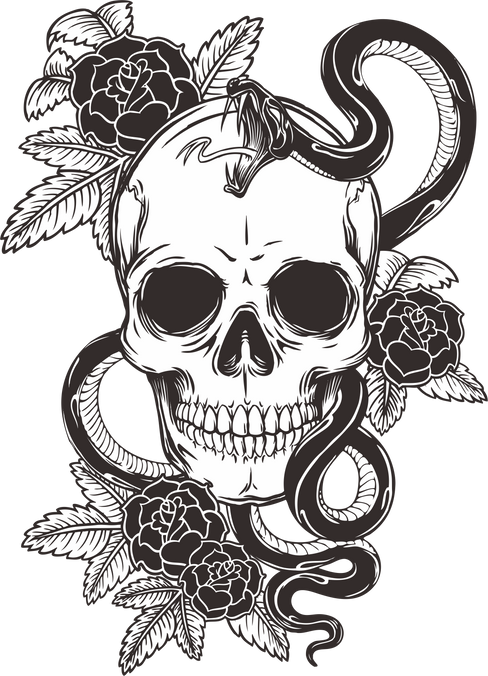 Hand Drawn Snake and Skull